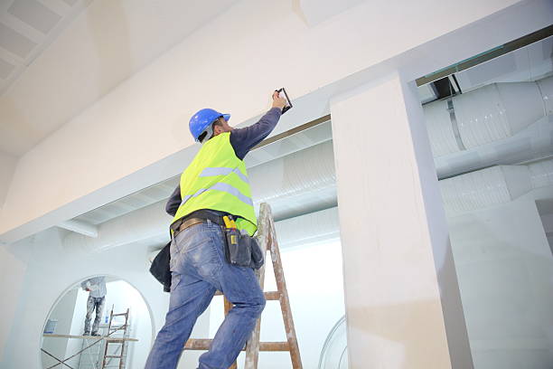 Best Mold Odor Removal Services  in Sauk City, WI